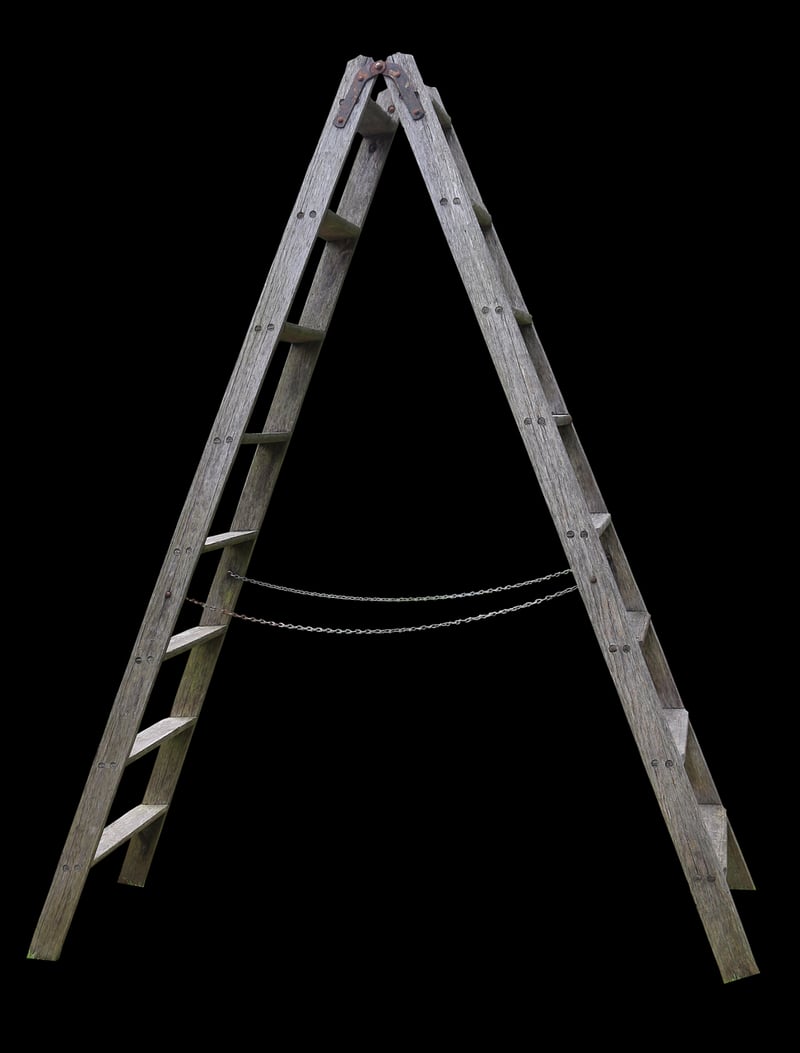 Upcycled ladder shelf